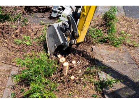Contratar Supressão Vegetal em Edson Queiroz Fortaleza