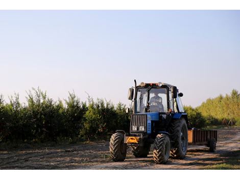 Serviço de Supressão Vegetal em Edson Queiroz Fortaleza